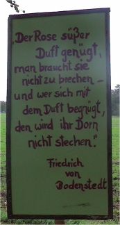 Arrangiert von den Neum&uuml;nsteraner "Nachtschw&auml;rmern"